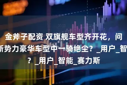 金斧子配资 双旗舰车型齐开花，问界何以在新势力豪华车型中一骑绝尘？_用户_智能_赛力斯