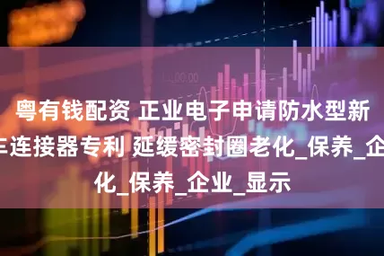 粤有钱配资 正业电子申请防水型新能源汽车连接器专利 延缓密封圈老化_保养_企业_显示