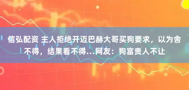 信弘配资 主人拒绝开迈巴赫大哥买狗要求，以为舍不得，结果看不得…网友：狗富贵人不让